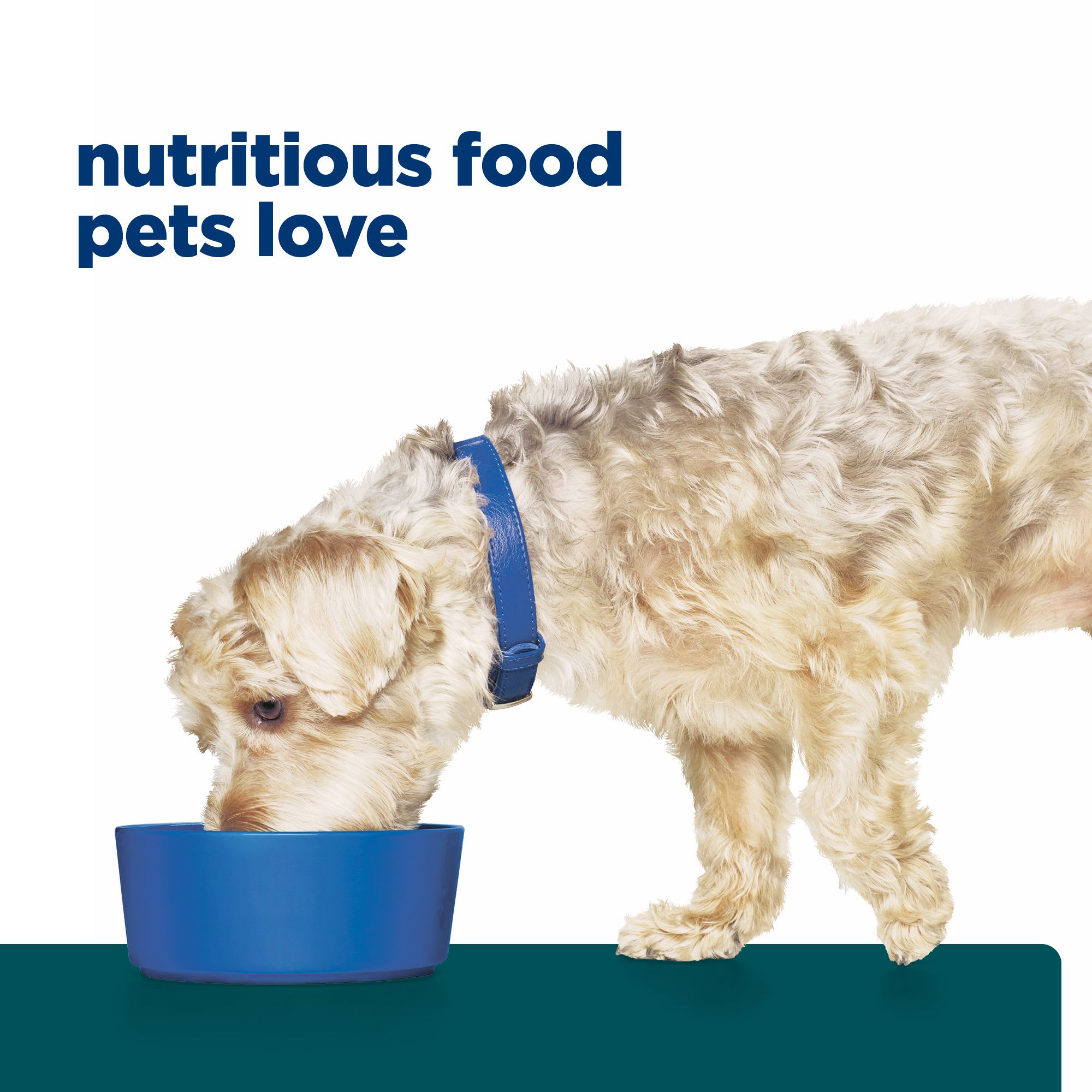 Hill's Prescription Diet W/D Multi-Benefit Digestive Weight Glucose Urinary Management Chicken Flavor Dry Dog Food 17.6 Lbs