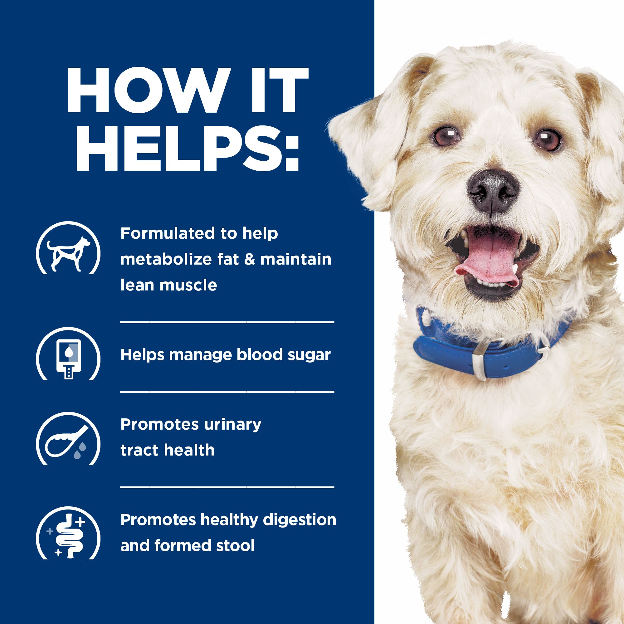 Hill's Prescription Diet W/D Multi-Benefit Digestive Weight Glucose Urinary Management Chicken Flavor Dry Dog Food 17.6 Lbs