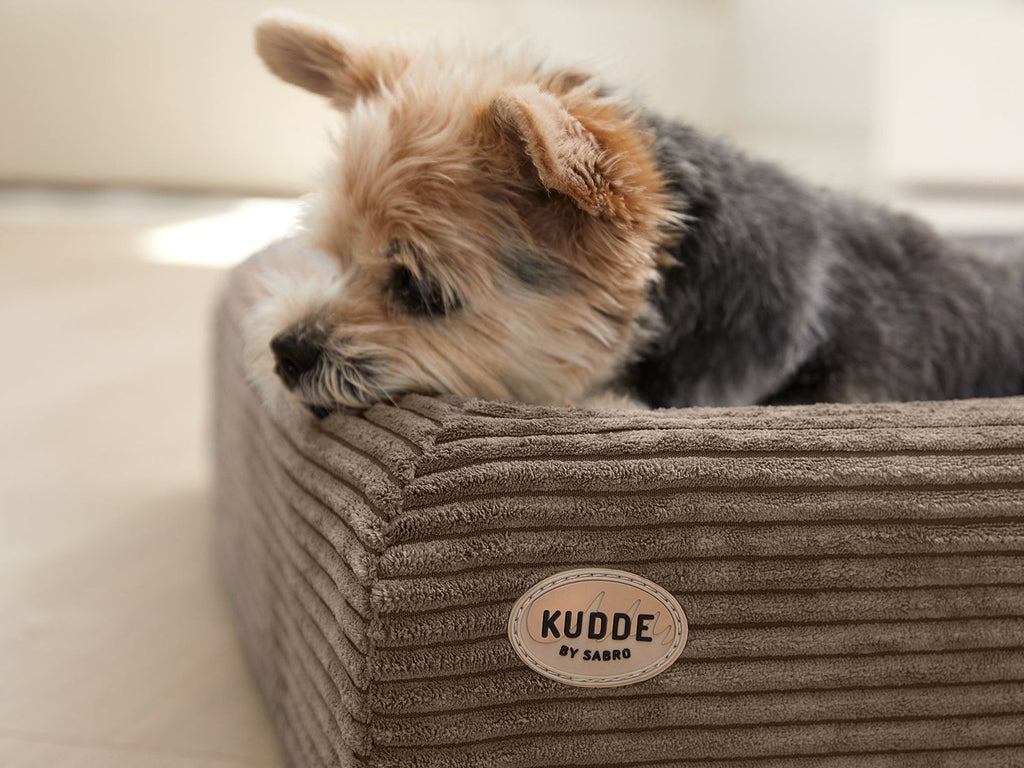 SABRO KUDDE Orthopedic Dog Bed Cozy Corduroy