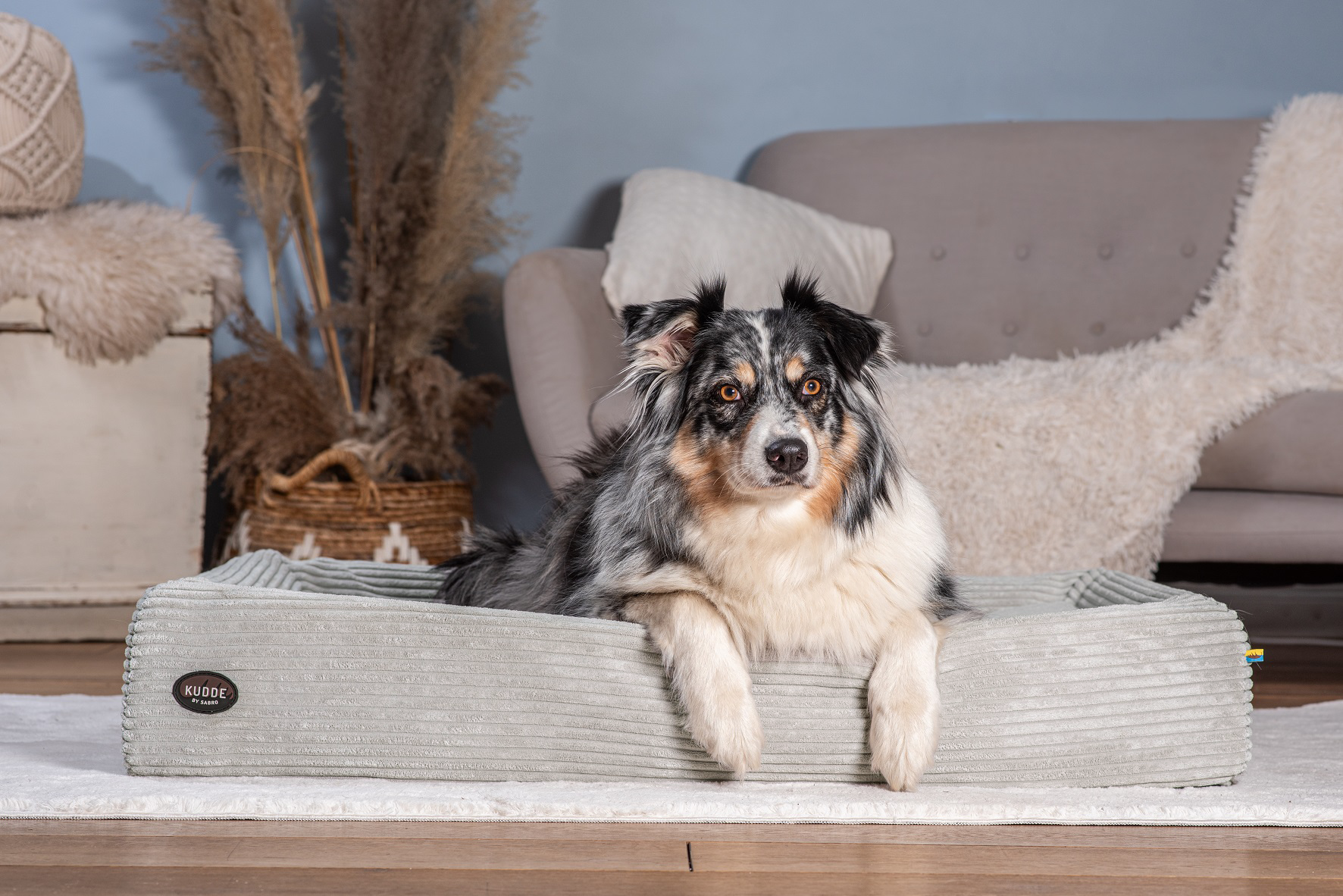 SABRO KUDDE Orthopedic Dog Bed Cozy Corduroy