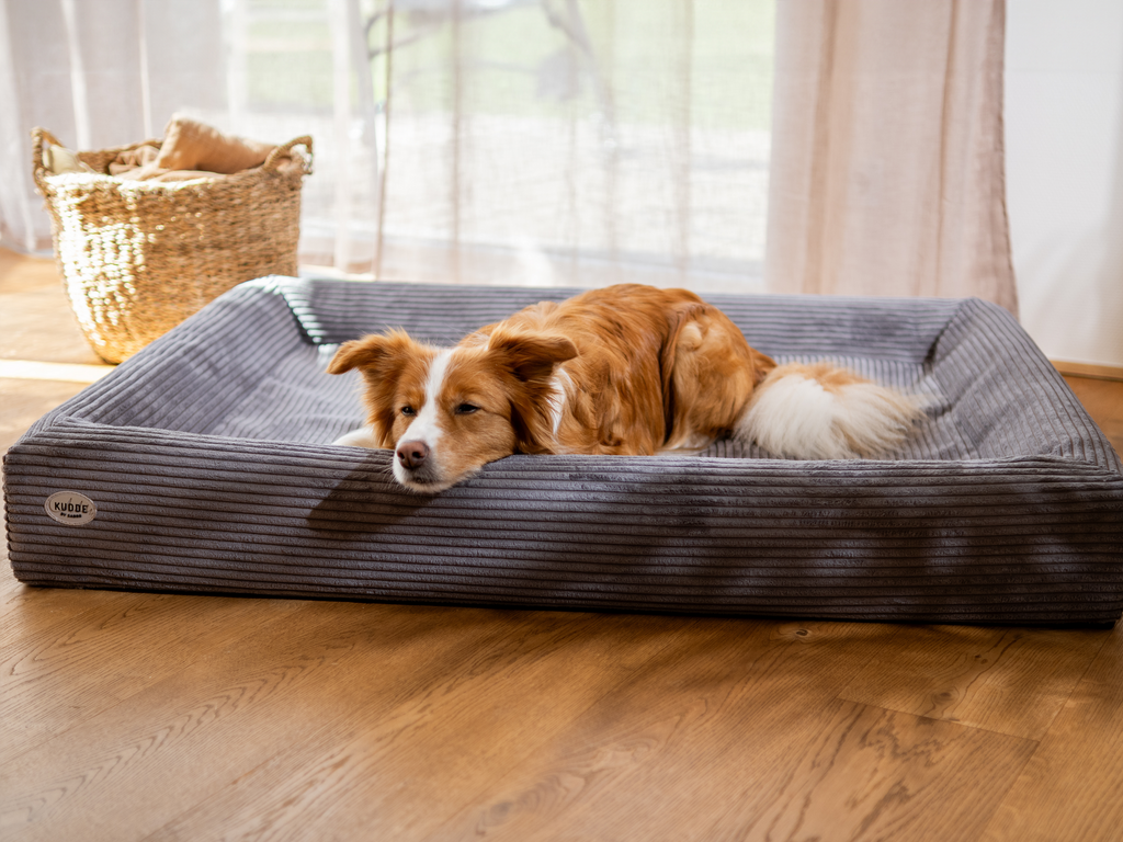 SABRO KUDDE Orthopedic Dog Bed Cozy Corduroy